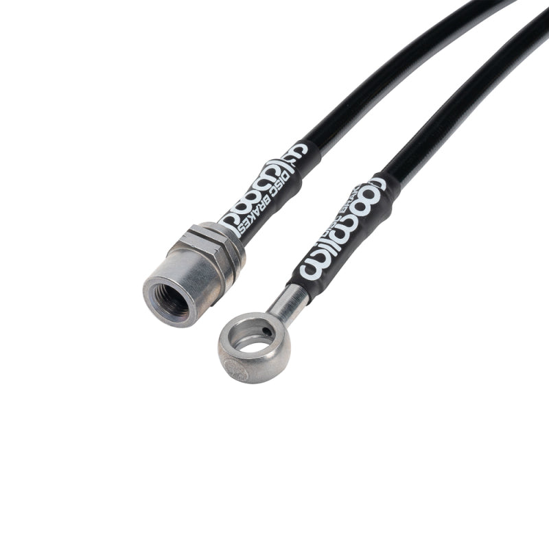 Photo - Primary