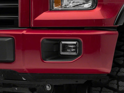 Photo - Close Up