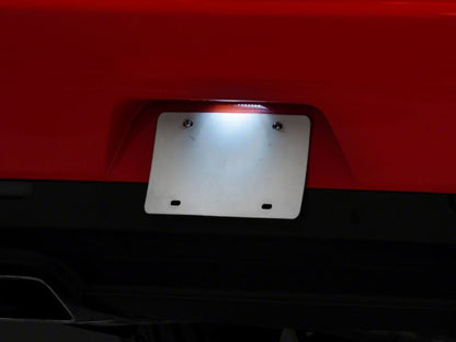Photo - Close Up