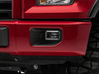 Photo - Close Up