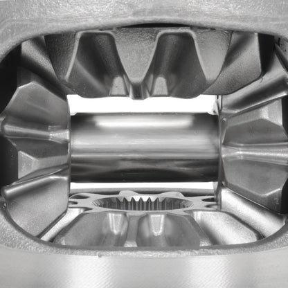 Photo - Unmounted